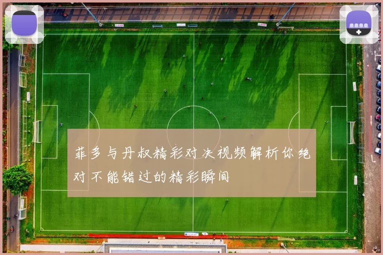 菲多与丹叔精彩对决视频解析你绝对不能错过的精彩瞬间
